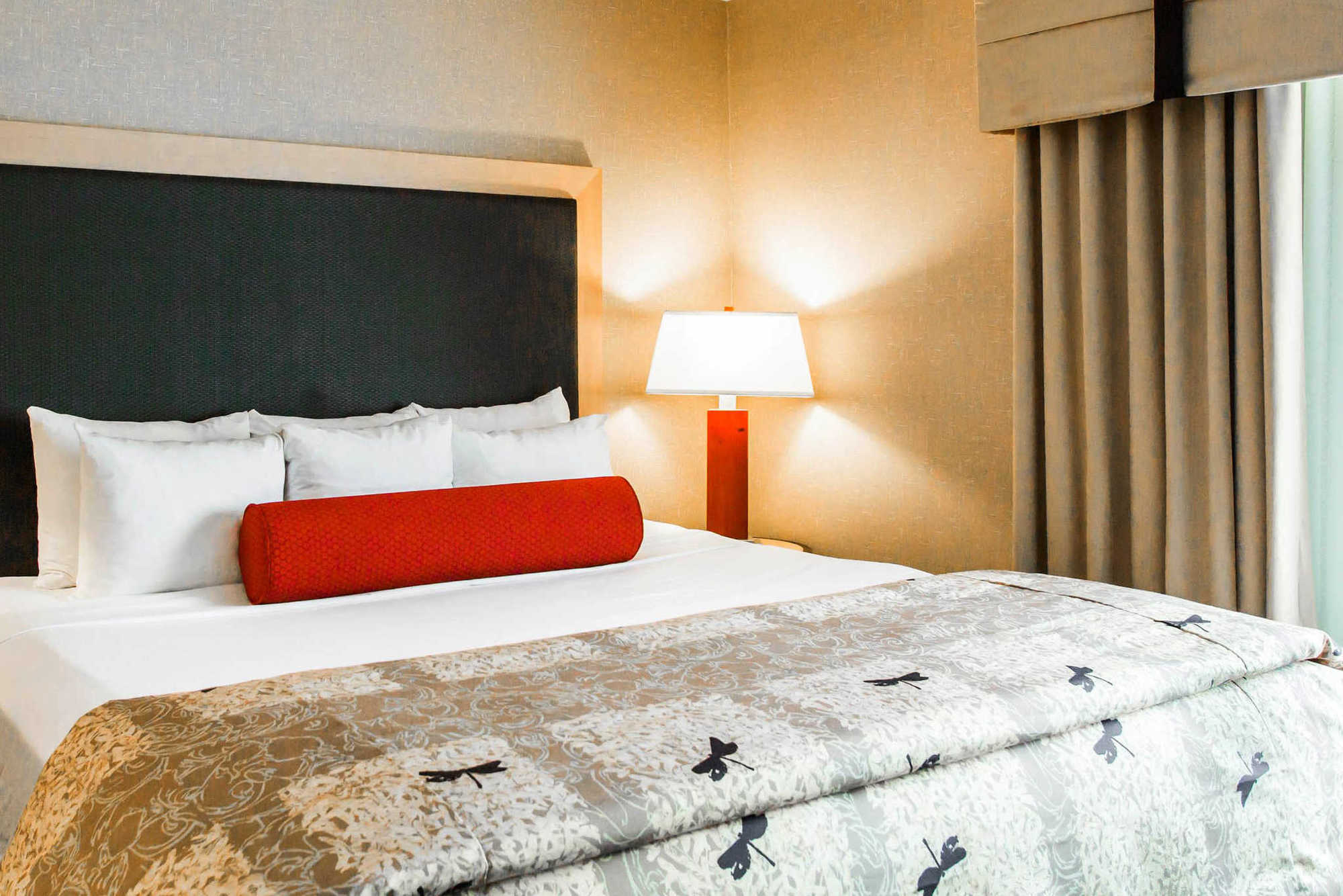 SpringHill Suites by Marriott Roanoke Rum bild