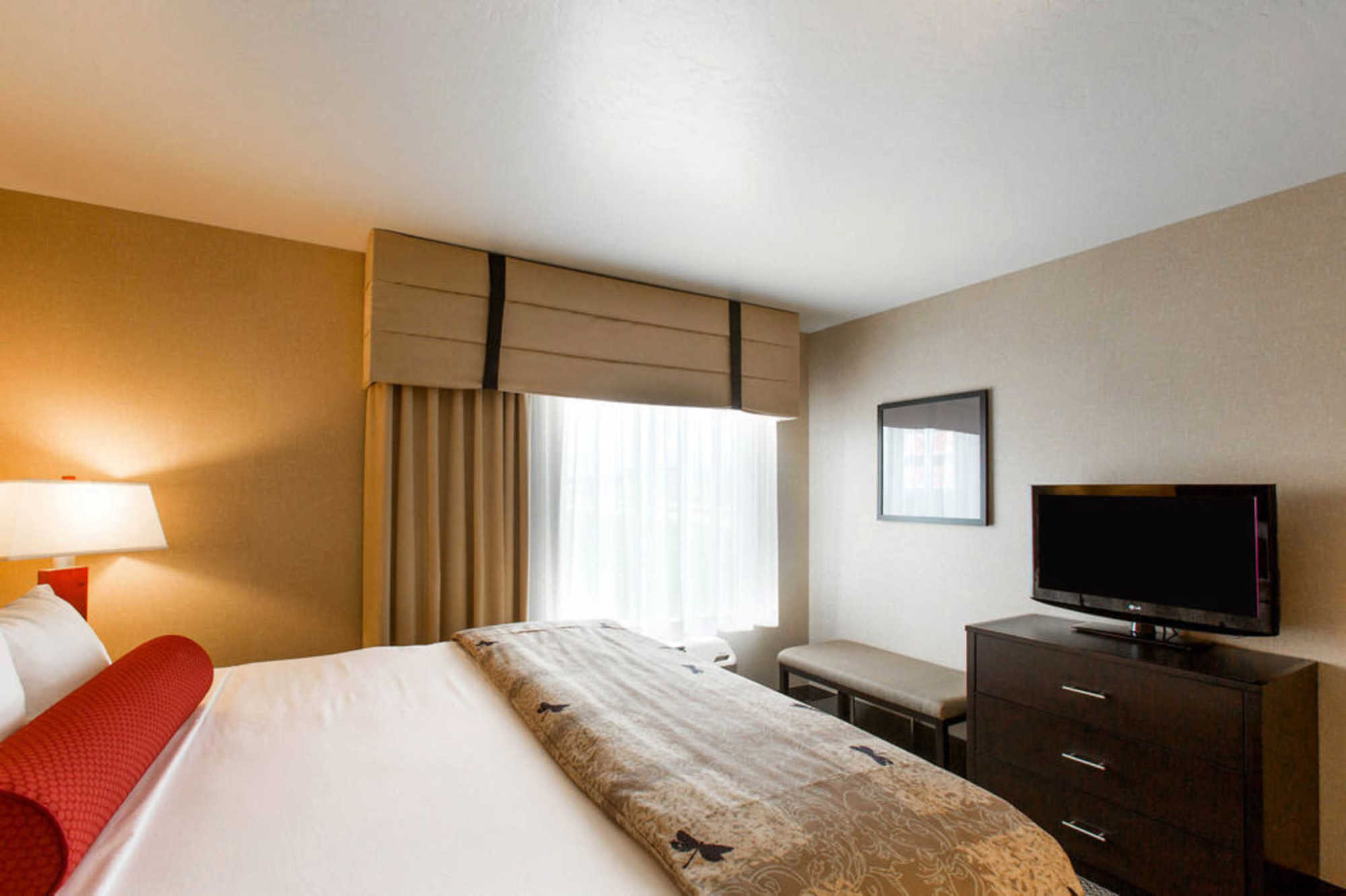 SpringHill Suites by Marriott Roanoke Rum bild