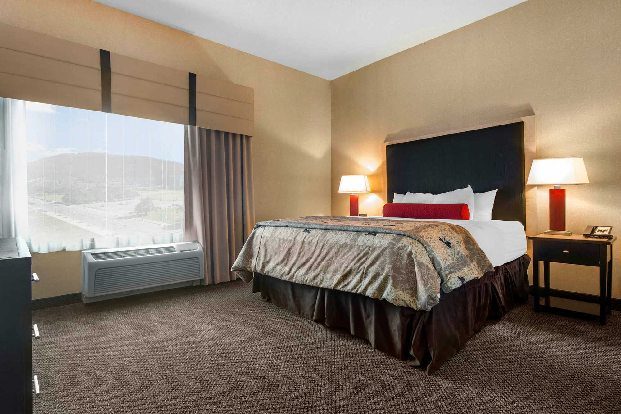 SpringHill Suites by Marriott Roanoke Rum bild