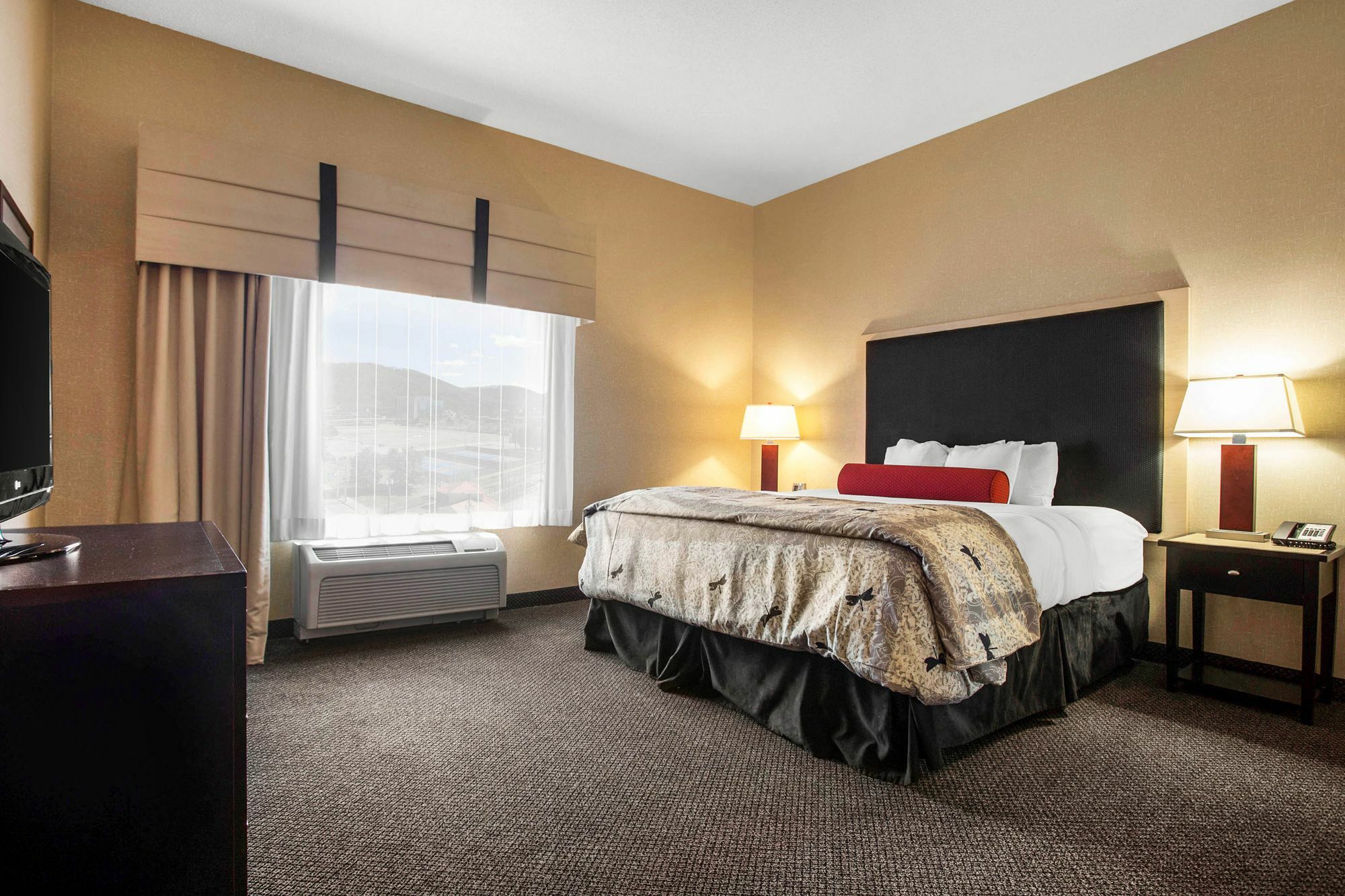 SpringHill Suites by Marriott Roanoke Exteriör bild