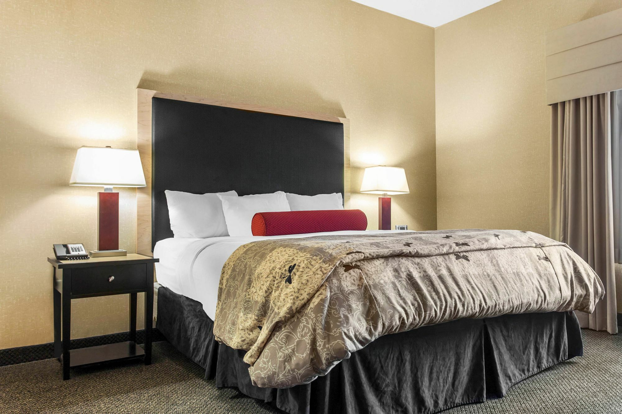 SpringHill Suites by Marriott Roanoke Exteriör bild