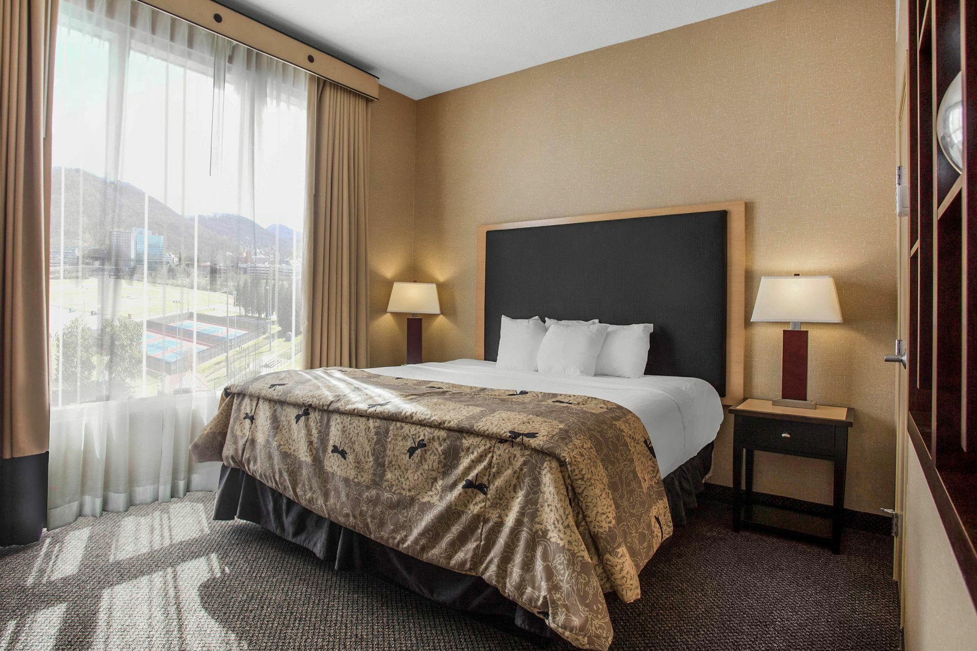 SpringHill Suites by Marriott Roanoke Exteriör bild