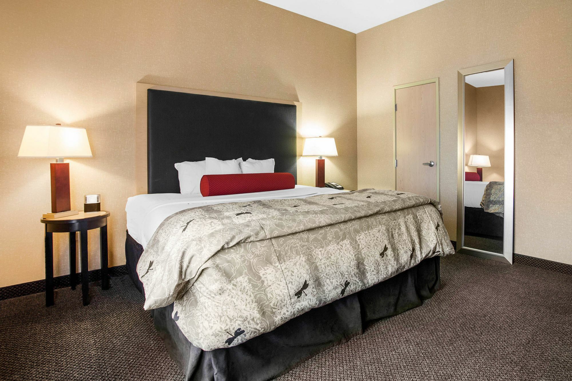 SpringHill Suites by Marriott Roanoke Exteriör bild